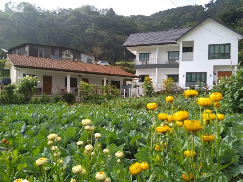 Ng Family’s Farm Stay — Hotel in Cameron Highlands