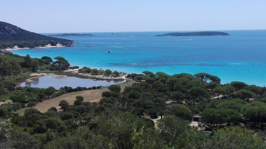 Maison sur Palombaggia - 5
