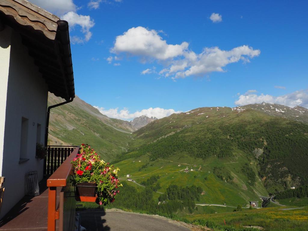 Appartamenti Millenium — Hotel in Livigno