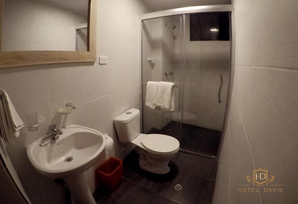 Hotel David photo