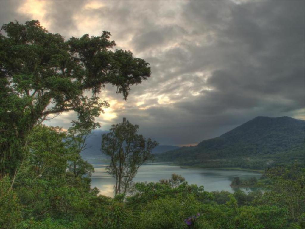 Bukit Kembar Ecotourism photo