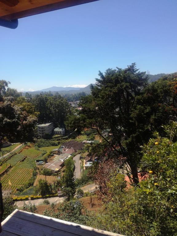 Sincere Wilderness Home stay photo