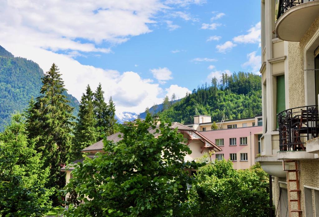 Full of light central apartment overlooking Jungfrau mountain - 5