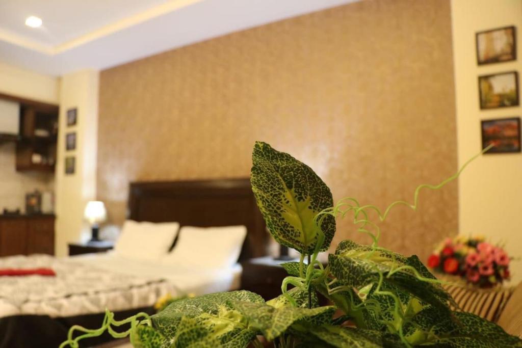 Cozy Studio Apartment In Bahria town photo