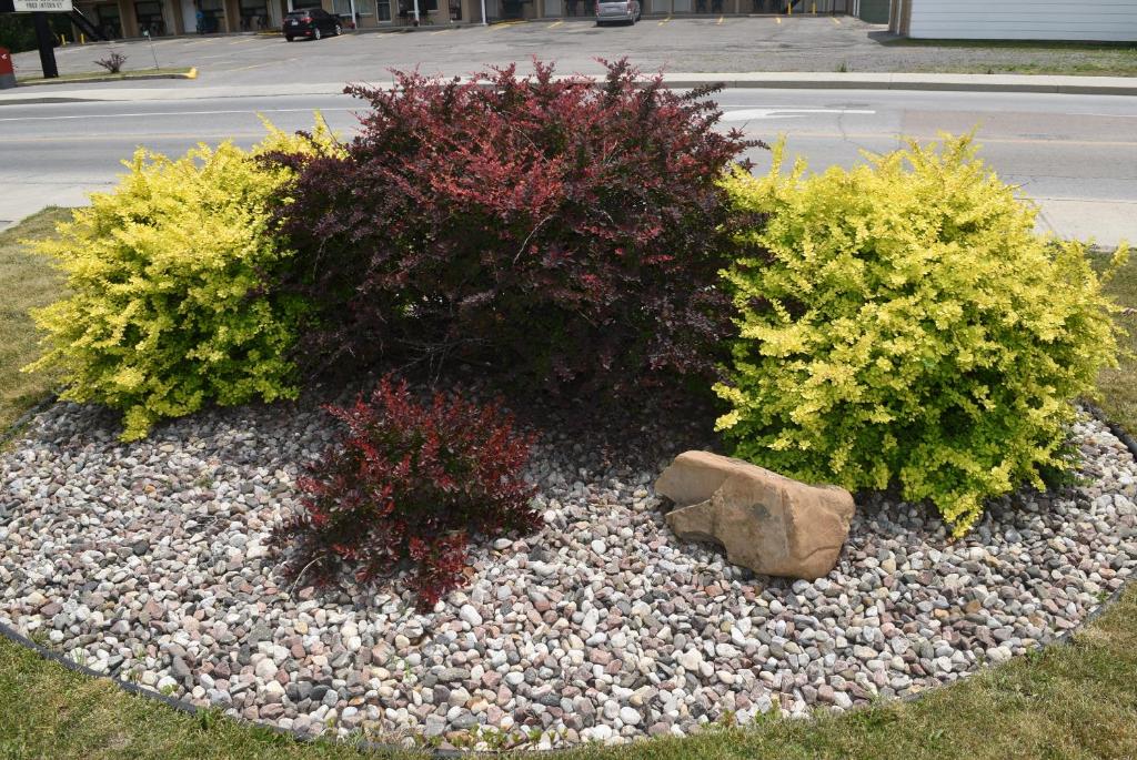 Knights Inn Arnprior Photo 12