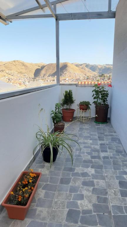 Cusco Hostal Qolla Wasi photo