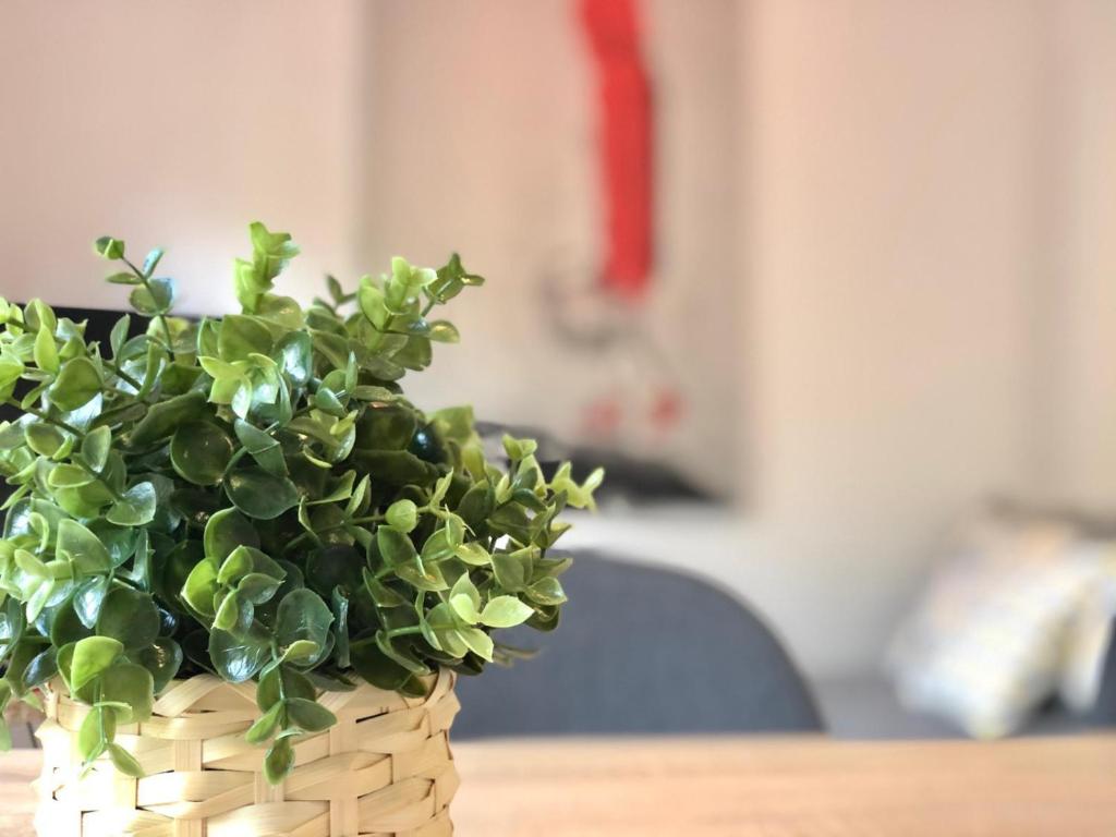 Apartamento Centrico - Casta Alvarez - 5
