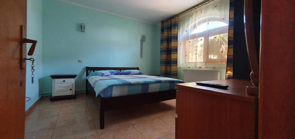 Vila Vasile photo