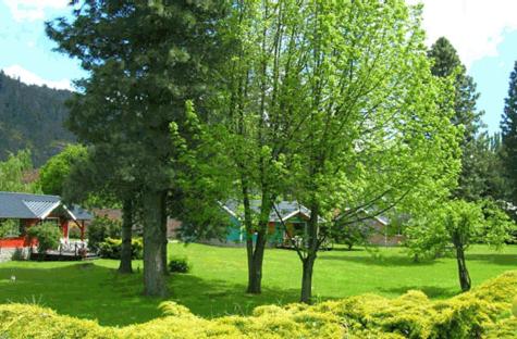 Hosteria Y Cabañas Del Campo - 4