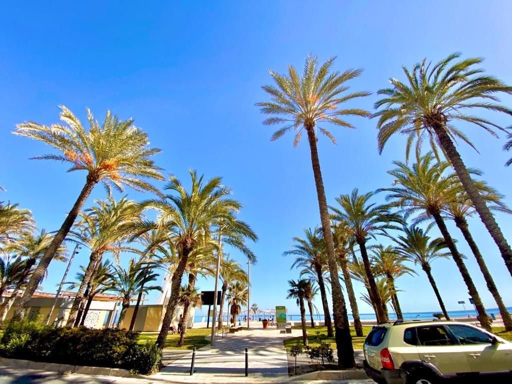 Nereo 7 Primera Linea de Playa San Juan Piscina, Parking wifi Inmobiliaria Leo - 3