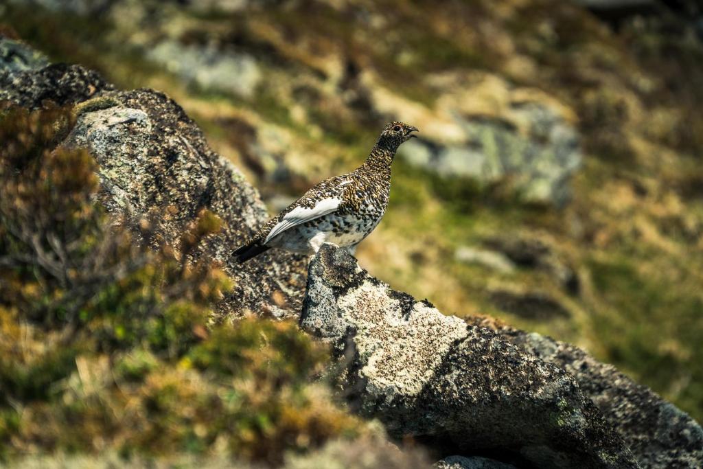 Live Lofoten Hotel photo