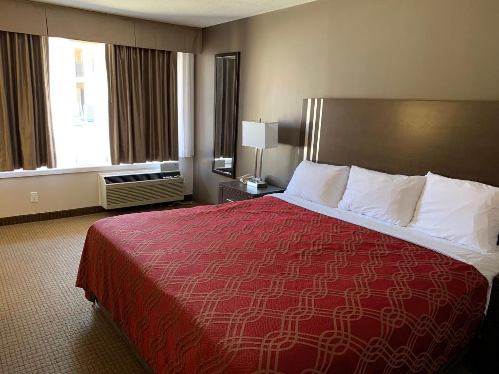 Econo Lodge  Inn & Suites photo