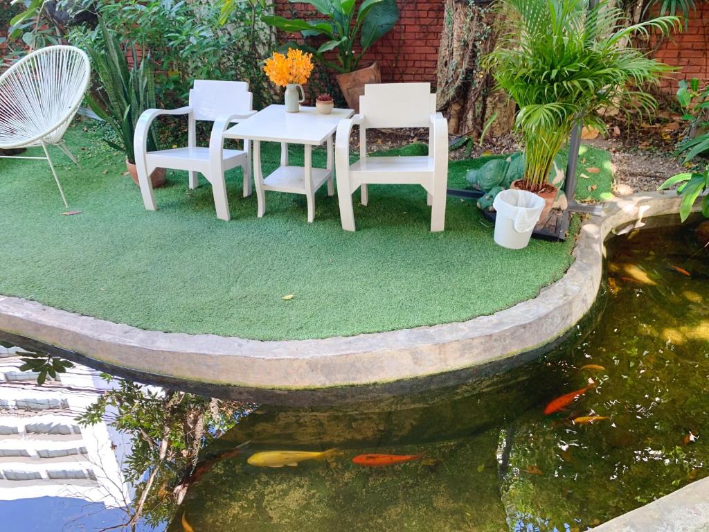 Garden
