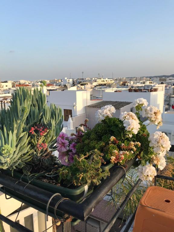 View