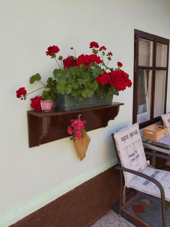 Apartments & Rooms Florjana photo