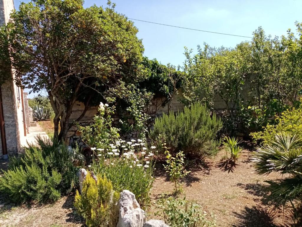 Il Trullo E Il Fortino - 2