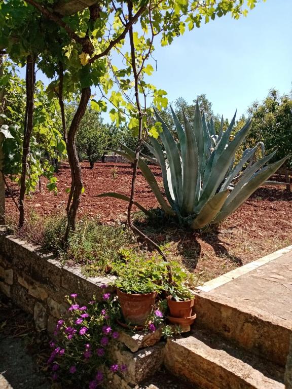 Il Trullo E Il Fortino - 3