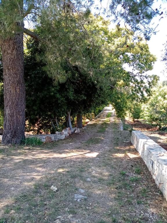 Il Trullo E Il Fortino - 5