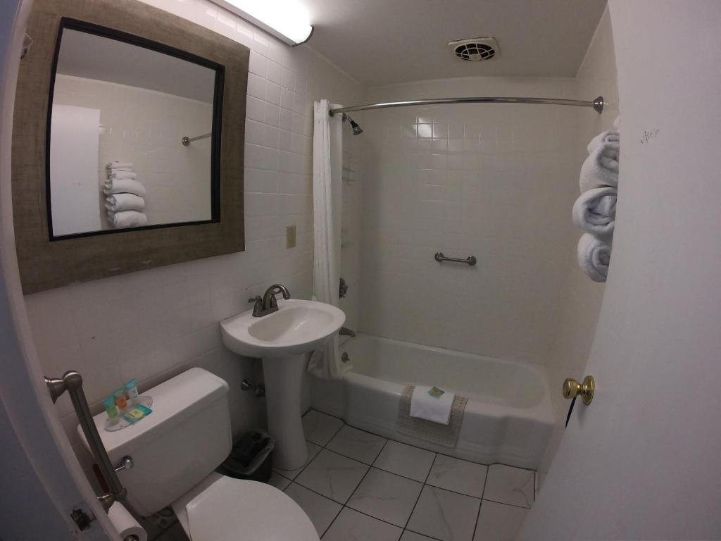 Copper Lantern Motor Lodge photo