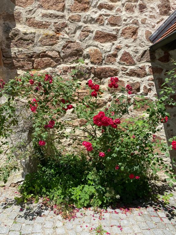 Gastehaus Malzerei auf Schloss Neuburg am Inn photo