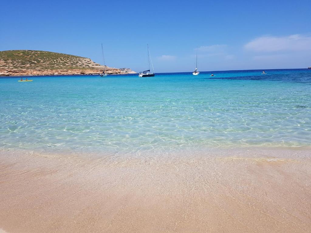 Fiframar - 4