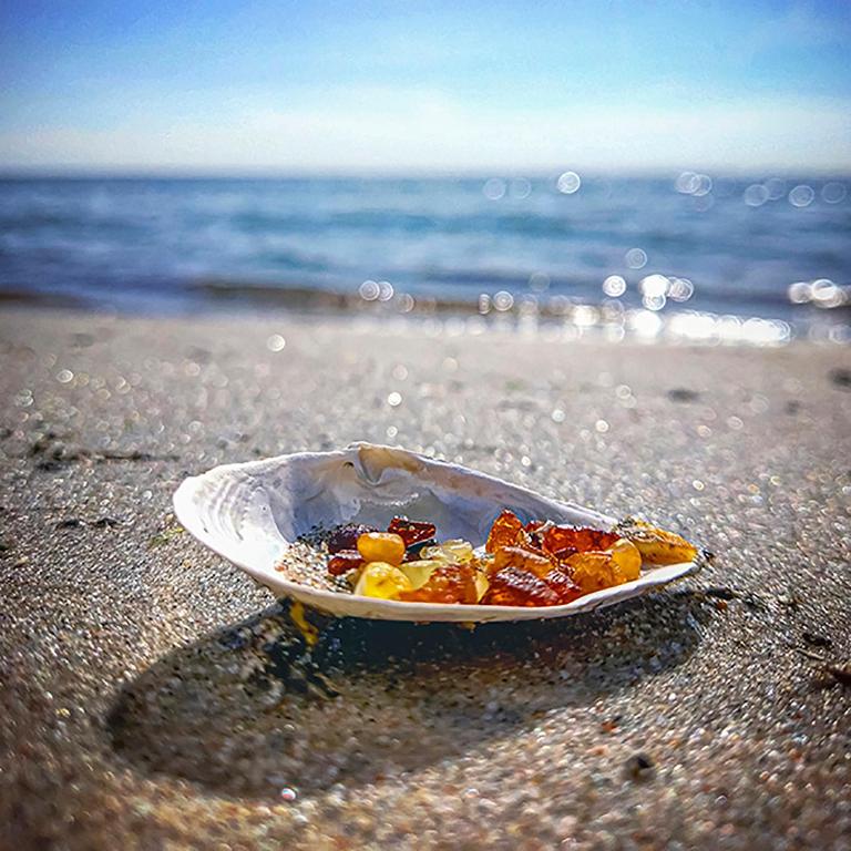 Comfy Rest apartments in Juodkrante 전경