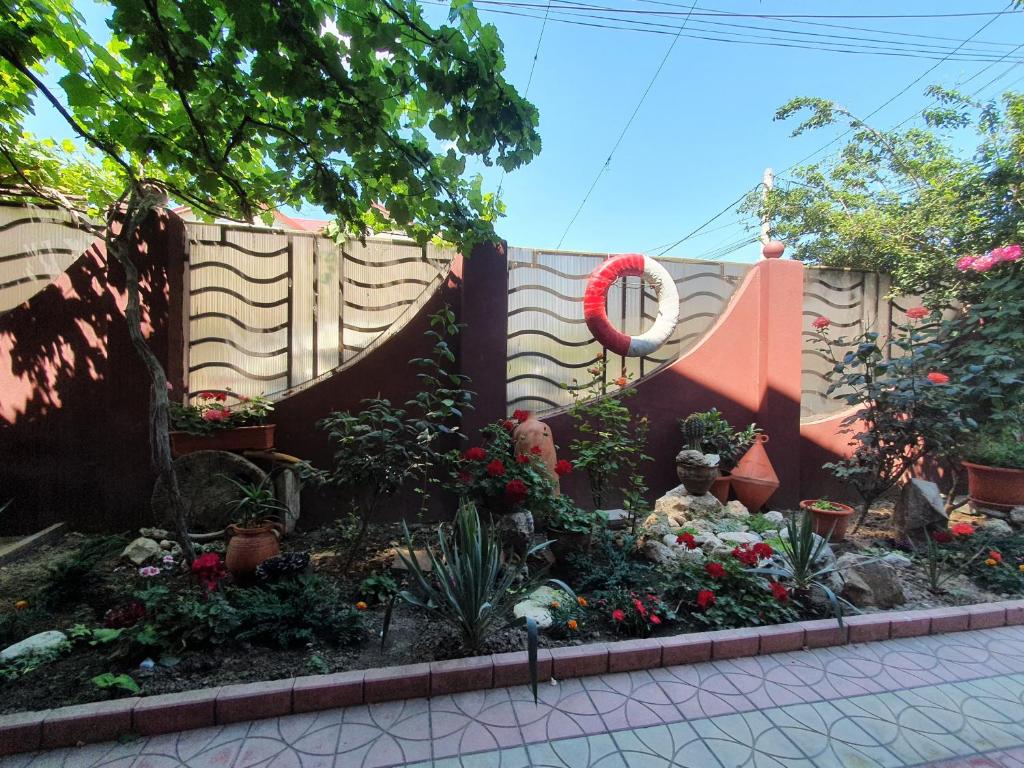 Casa Ultraviolet photo