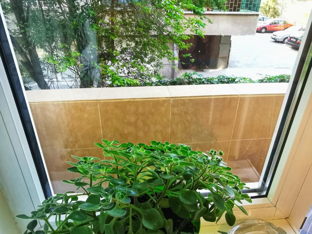 Rila Apartment photo