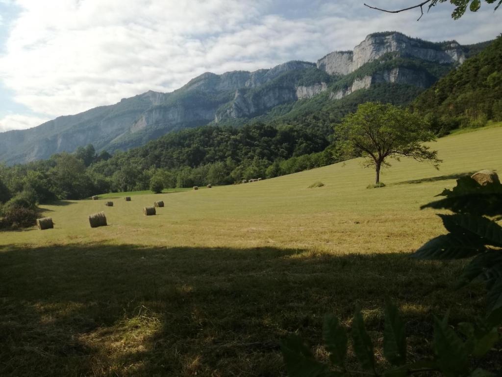 L'Echevine en vercors - 2