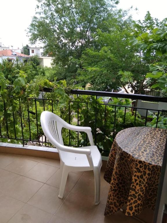 Villa Leopard photo