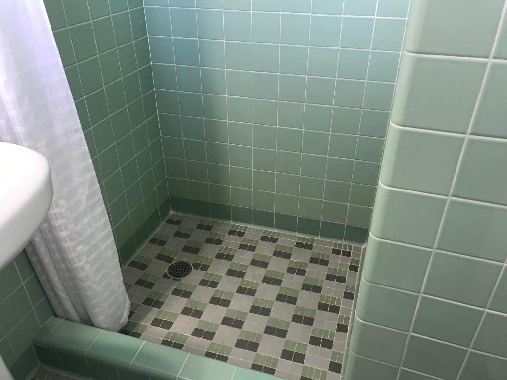 Silver Princess Motel photo