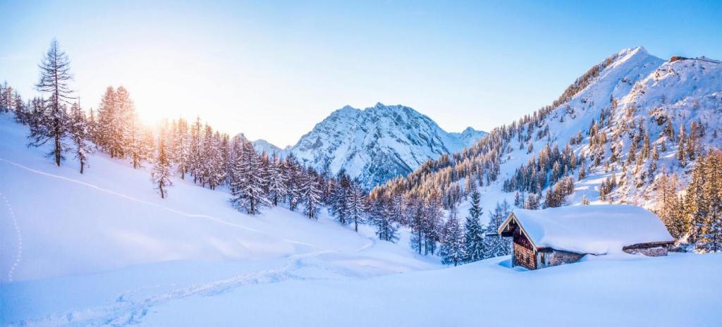Résidence Le Tetras - Studio vue dégagée sur la montagne et pistes de ski MAE-3193 - 3