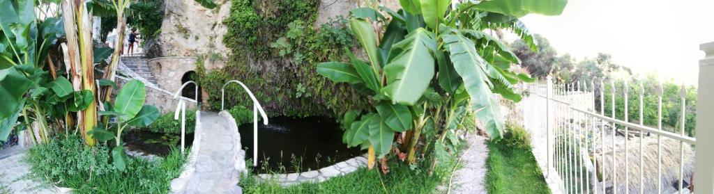 Surrounding environment