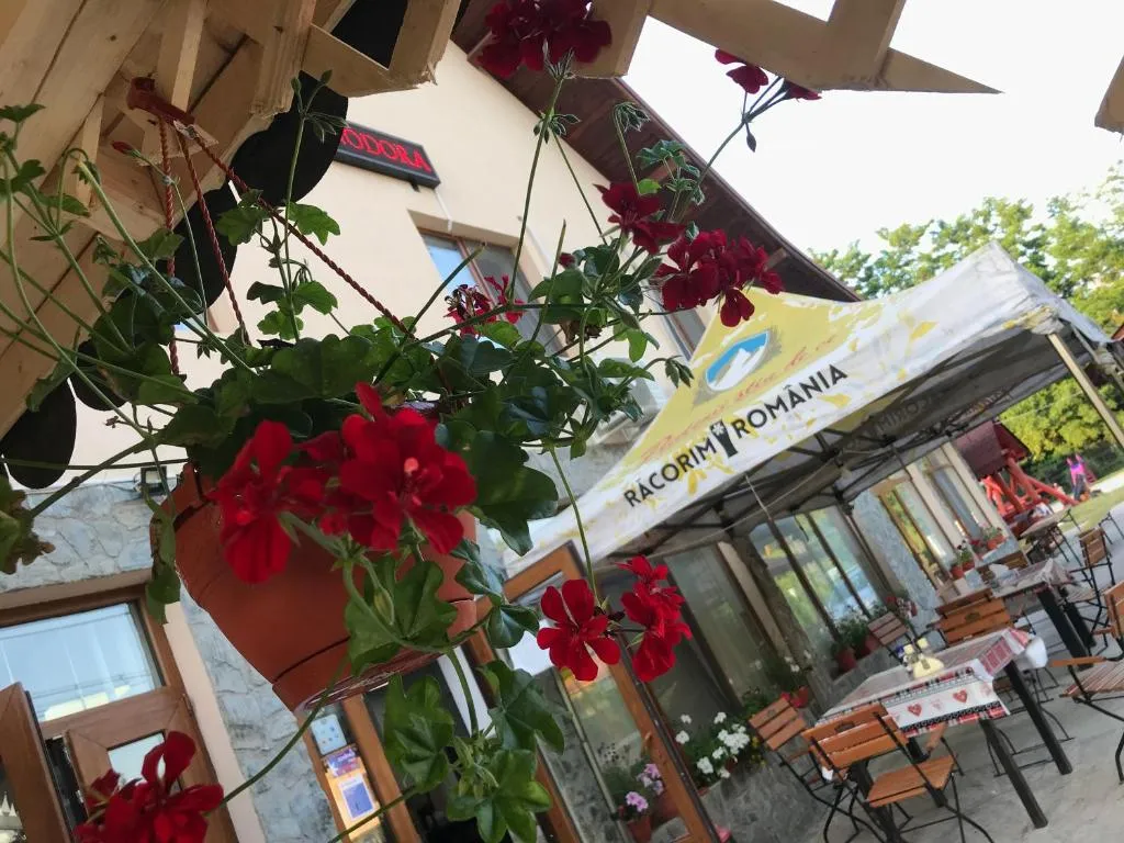 Pensiunea Minodora, hotel v destinaci Polovragi