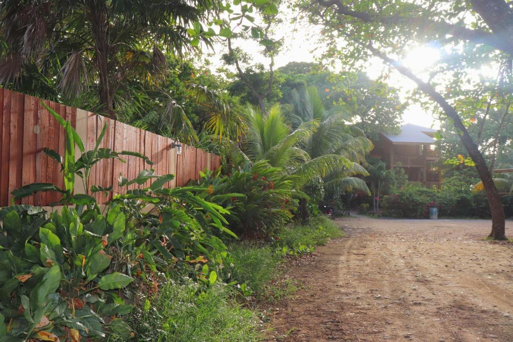 Hotel Posada Seremein Roatan photo