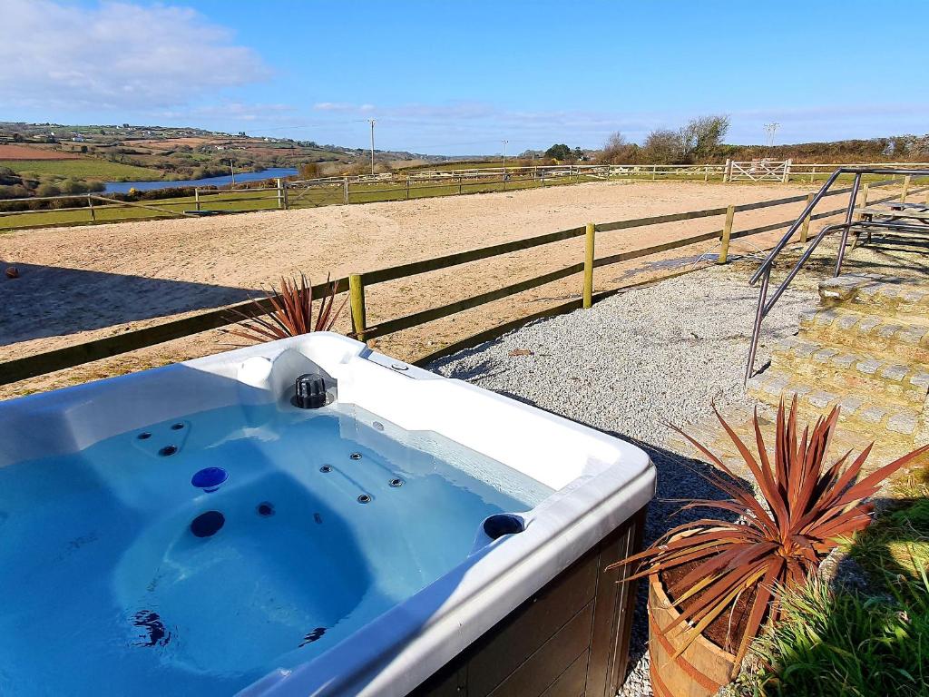 Dexter, near Falmouth photo 6