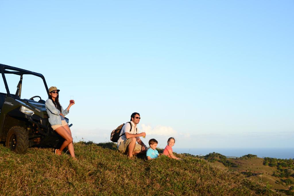 アクティビティ