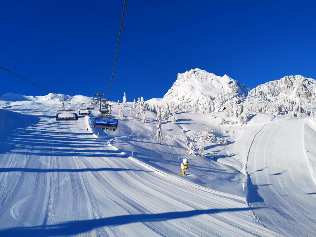 Sports and activities