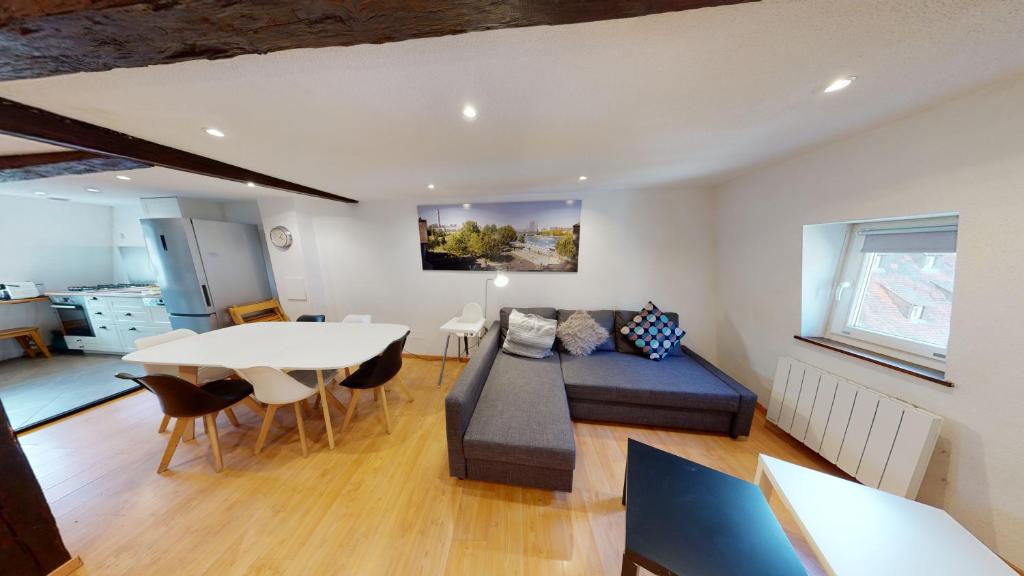 Spacious duplex city center Strasbourg - 2