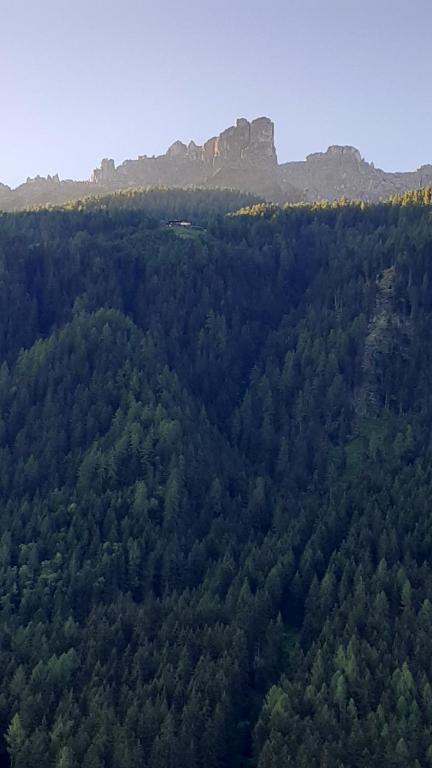 Sägehof - 3