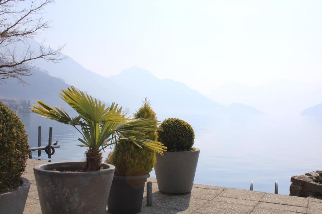 Garni-Hotel Frohburg - Beau Rivage Collection photo