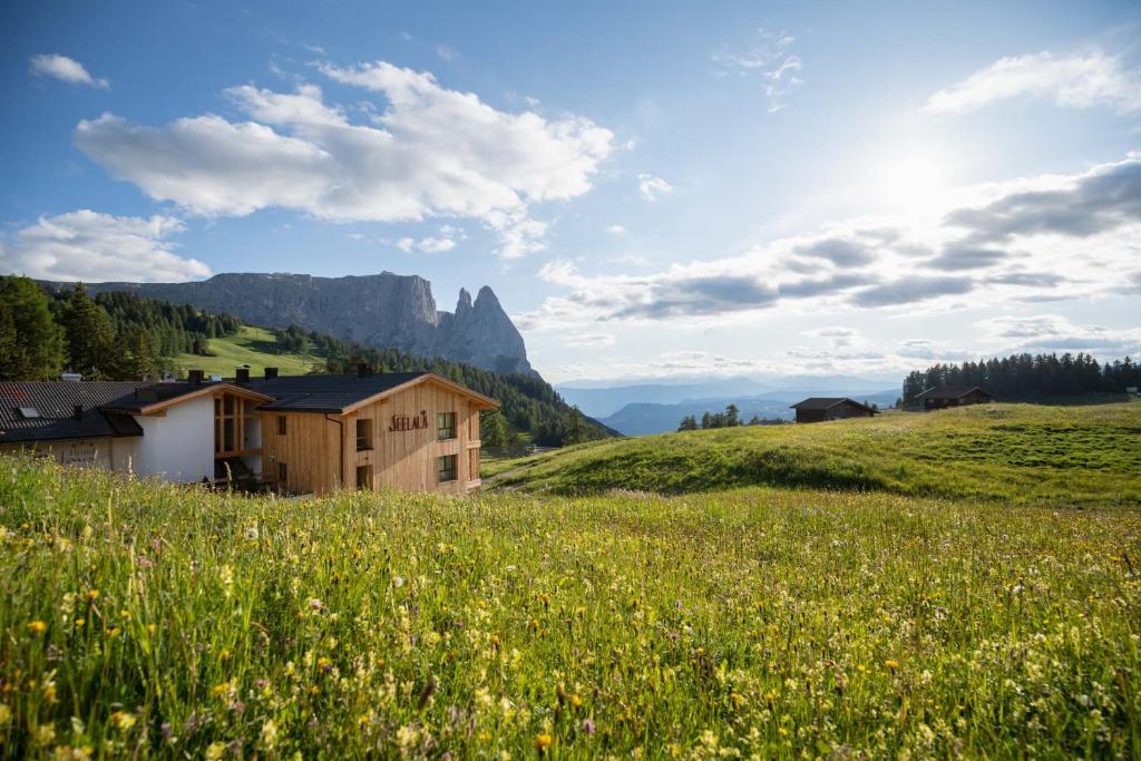 Hotel Seelaus - 1
