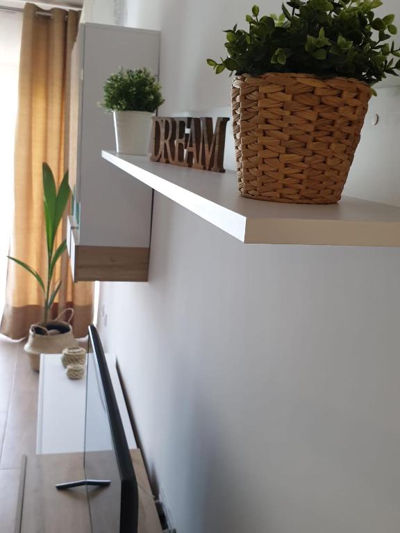 Maxx Apartamento - 4