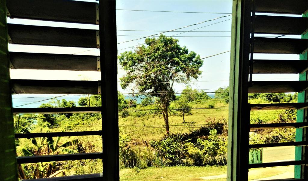 TOGA GUEST HOUSE photo