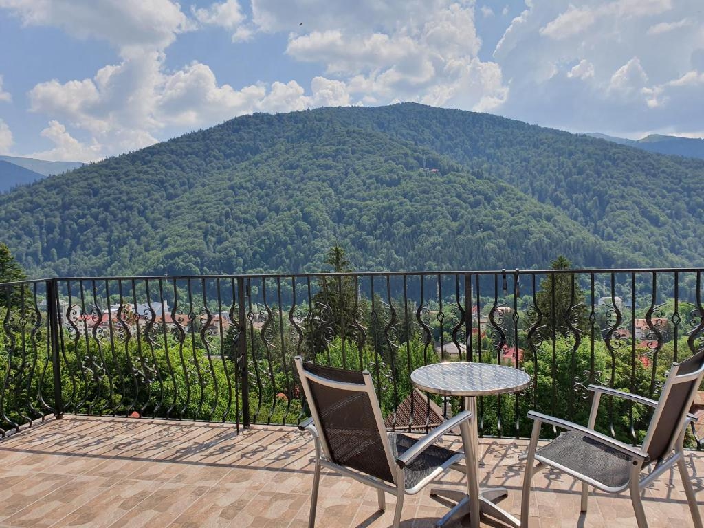 Pensiunea TV Condor — Hotel in Sinaia