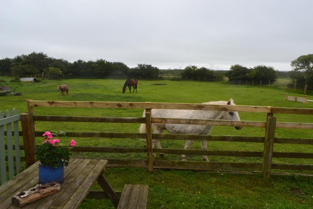 Peaceful Log Cabin next to Horse Field photo
