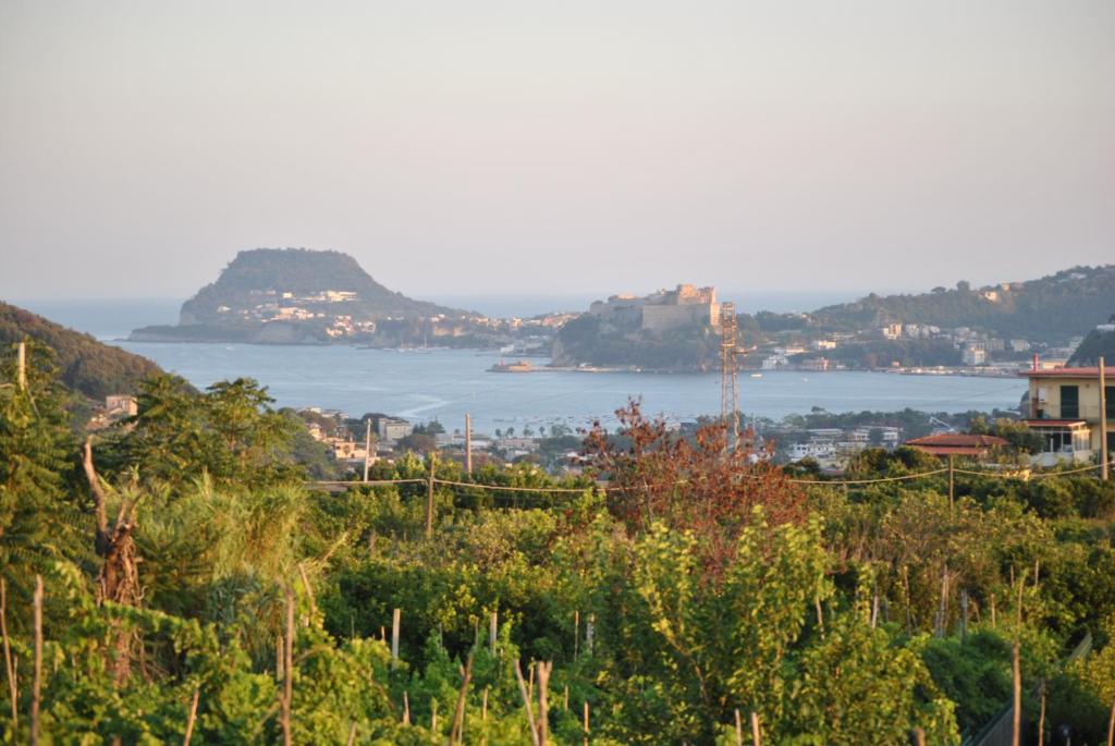 Puteoli house, Pozzuoli