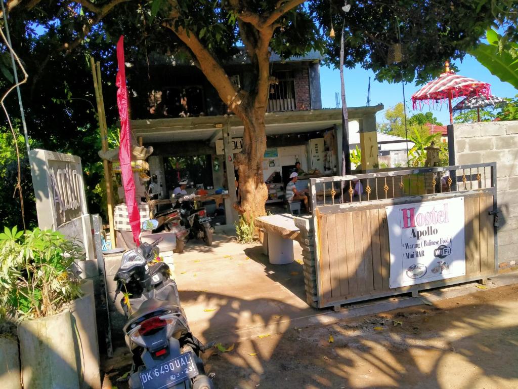 Apollo Hostel, Lovina