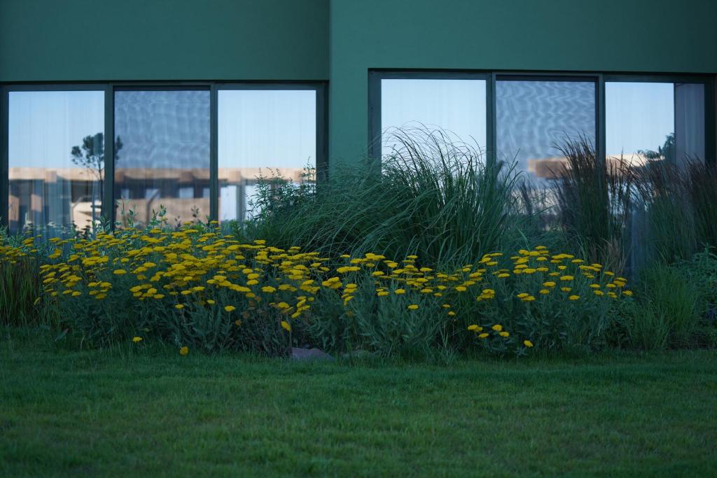 HVD Reina del Mar - Premium Spa Service & Free Parking — Hotel building in Obzor, Burgas Region