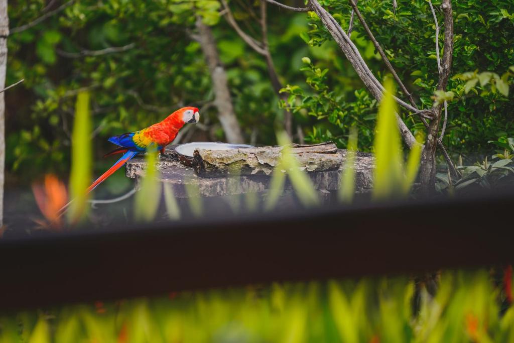 Hotel Cerro Lodge photo